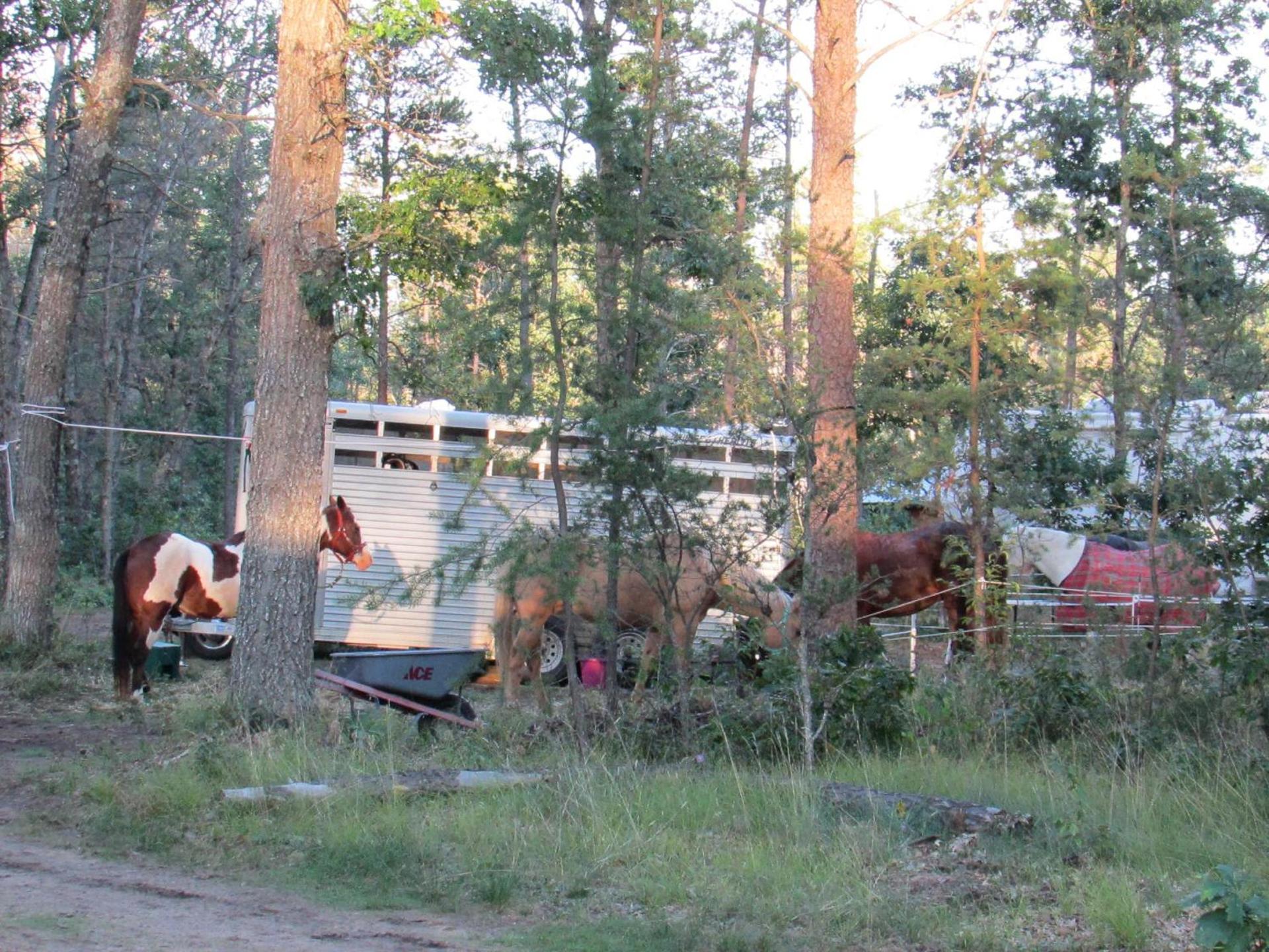 Best Bear Lodge photo 33