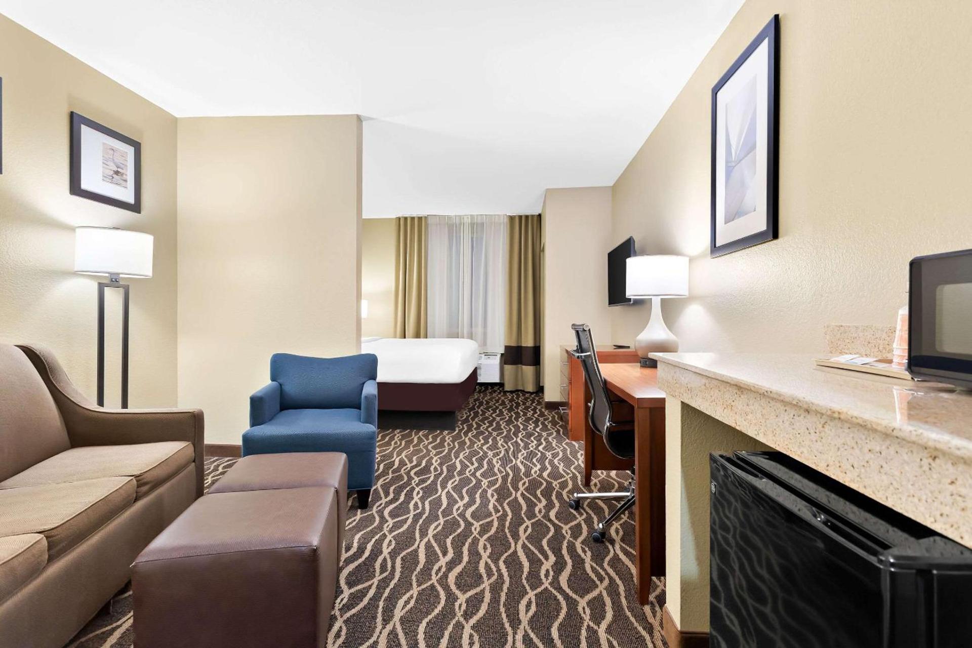 Comfort Suites Tampa Airport North photo 2