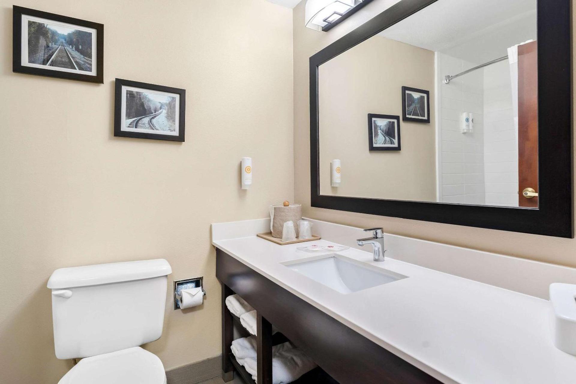 Comfort Suites near Robins Air Force Base photo 6