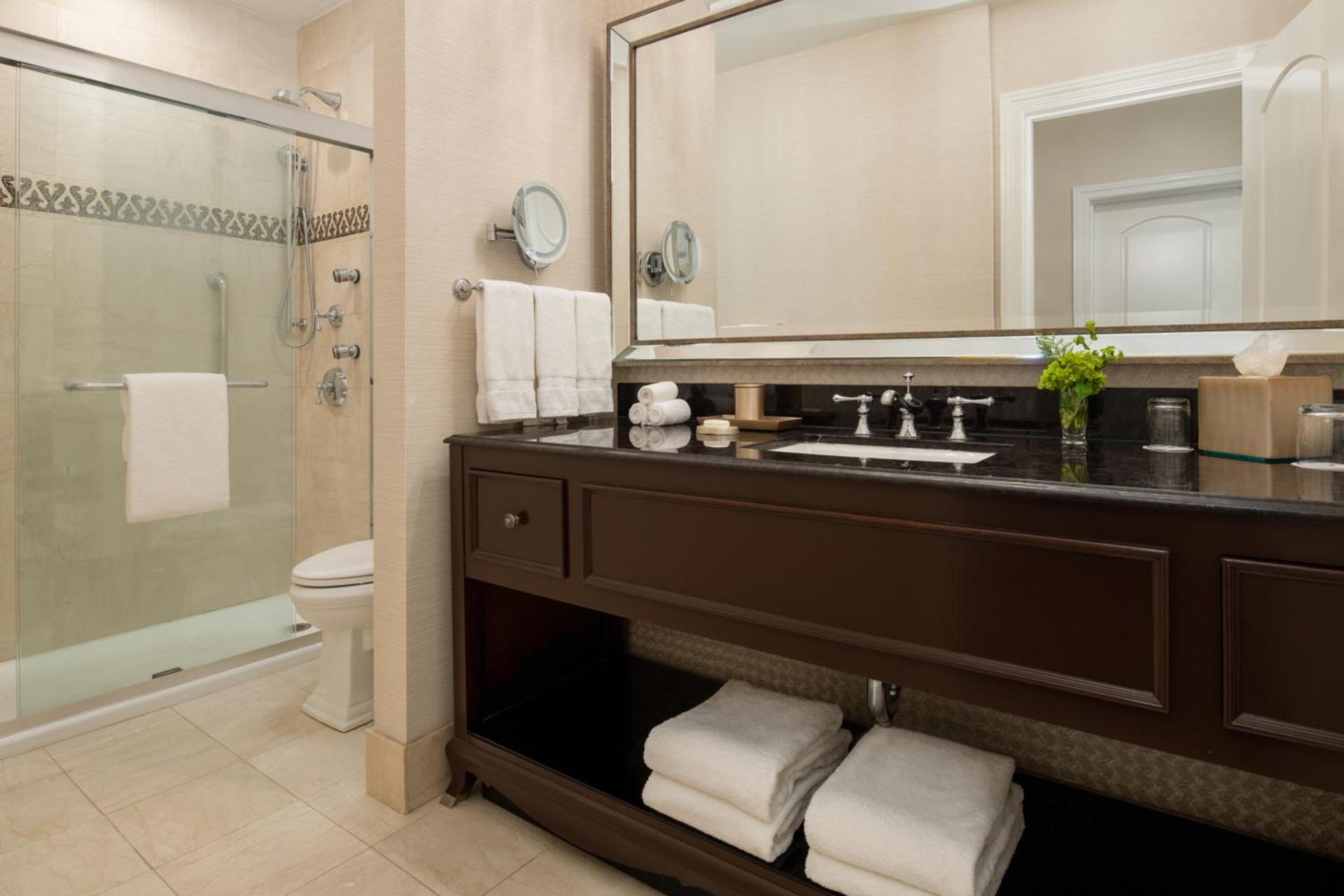The Roosevelt Hotel New Orleans - Waldorf Astoria Hotels & Resorts photo 20