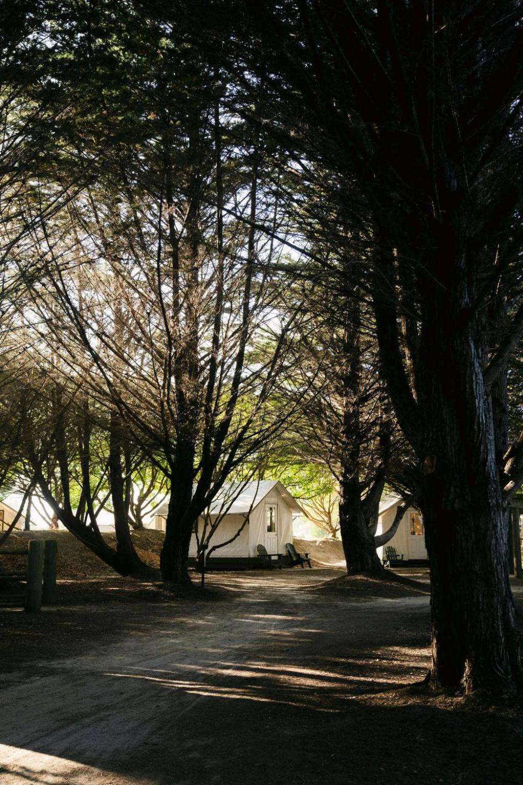 Costanoa photo 47