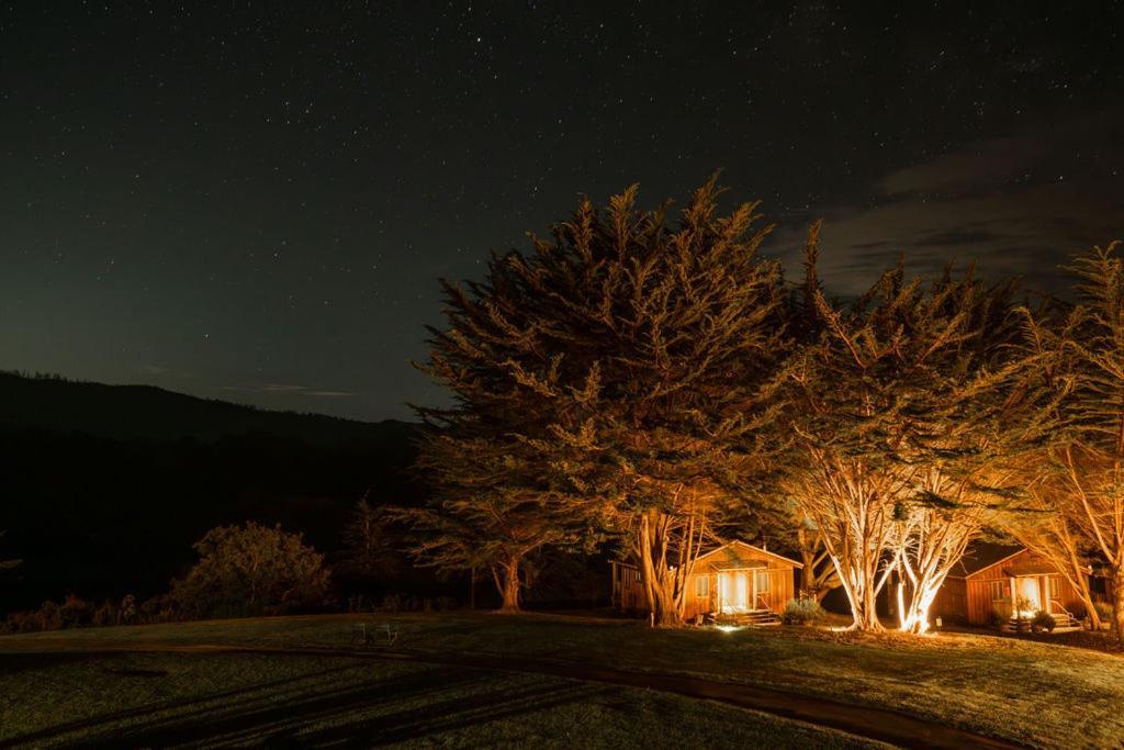 Costanoa photo 59
