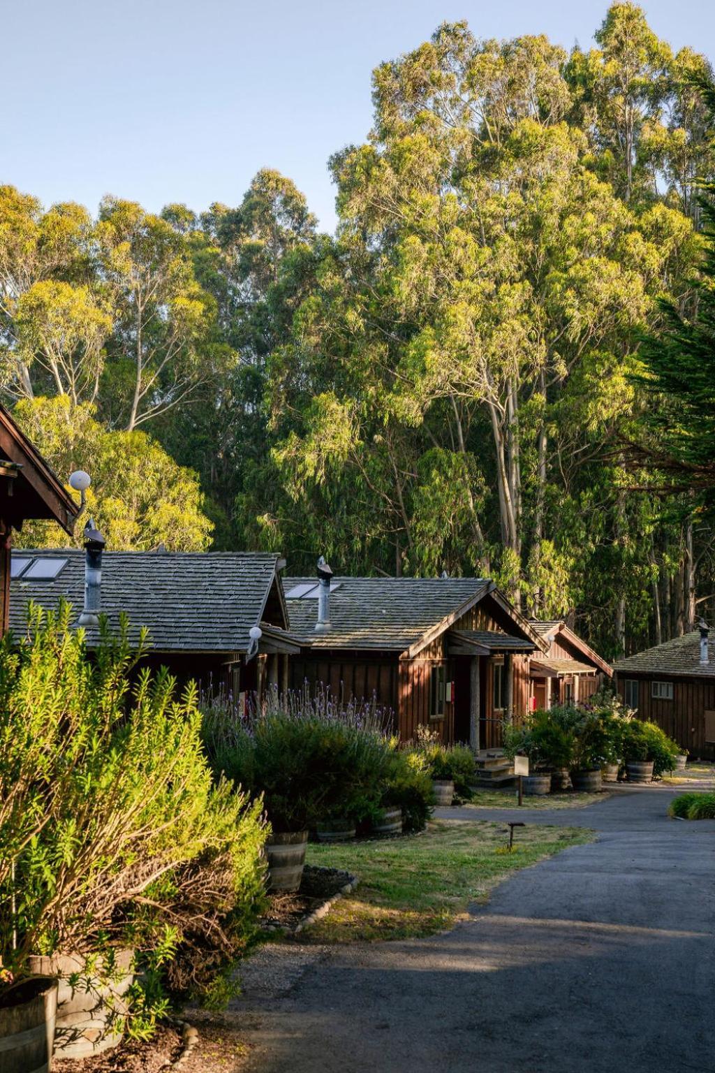 Costanoa photo 62