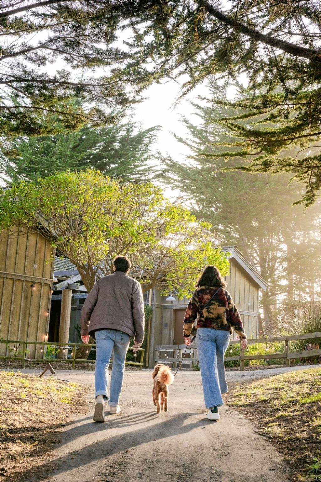 Costanoa photo 61