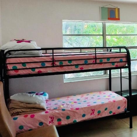 The Hollywood International Hostel - 24 hour Check in - Under New Management photo 9