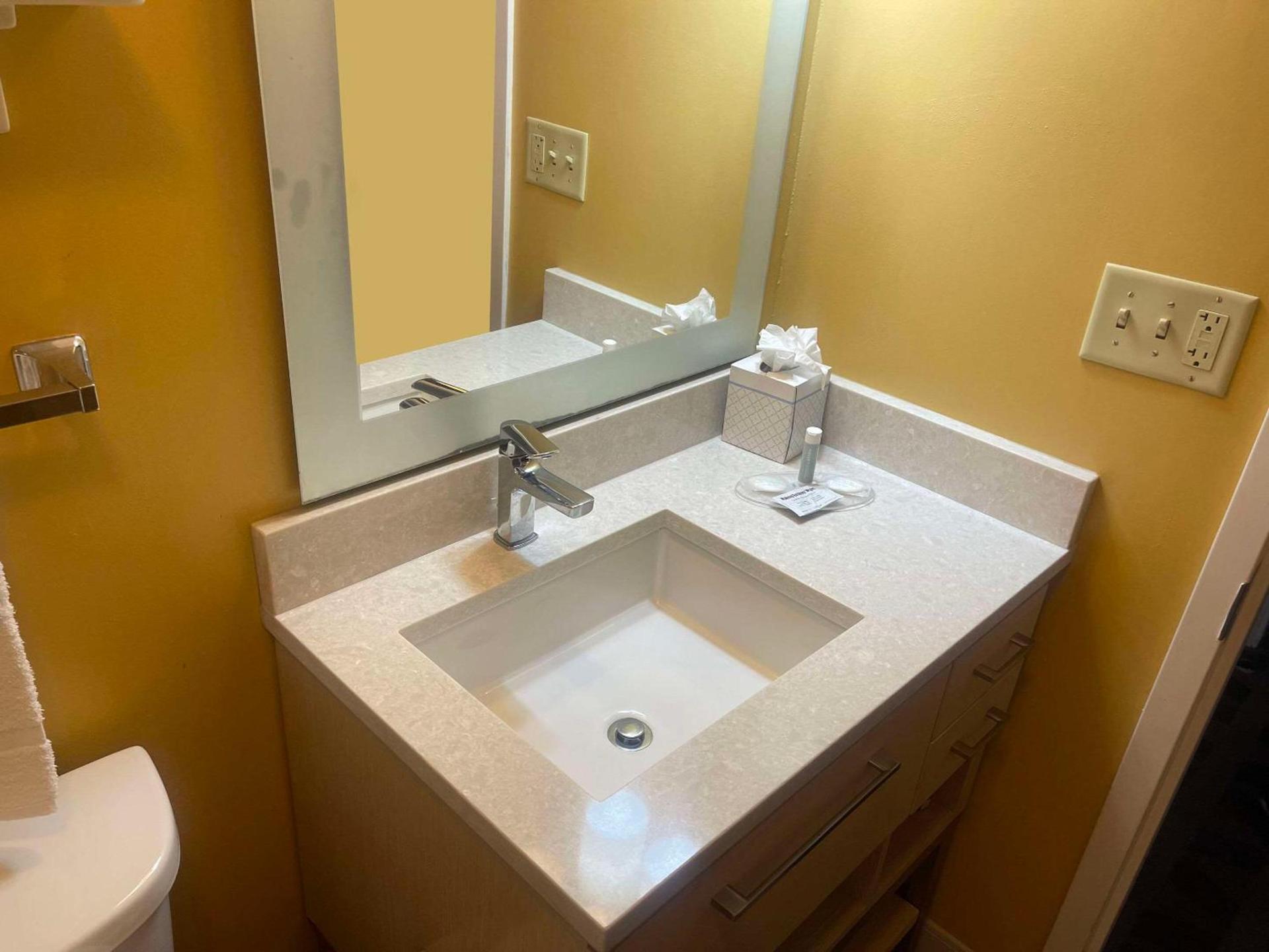 MainStay Suites Tampa Moffitt-USF photo 5