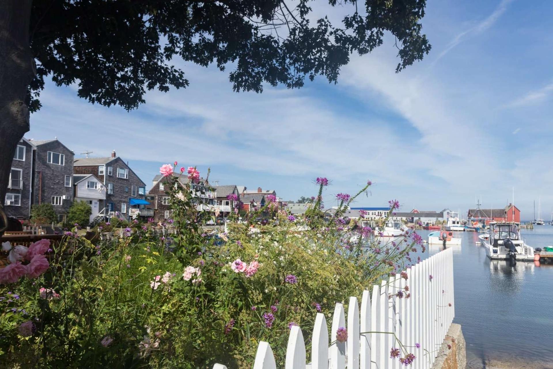 Sunnyside photo 5