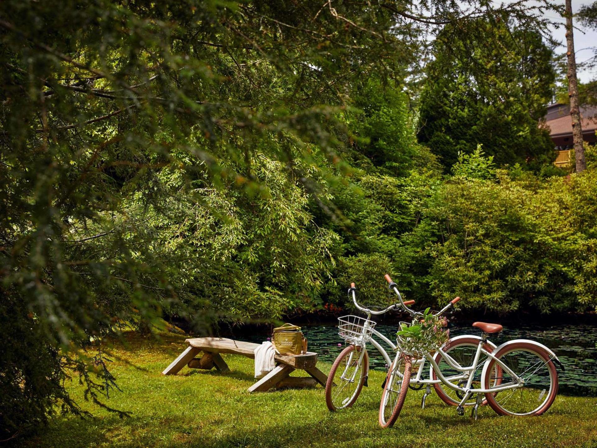 Trailborn Highlands, Outdoor Collection by Marriott Bonvoy photo 35