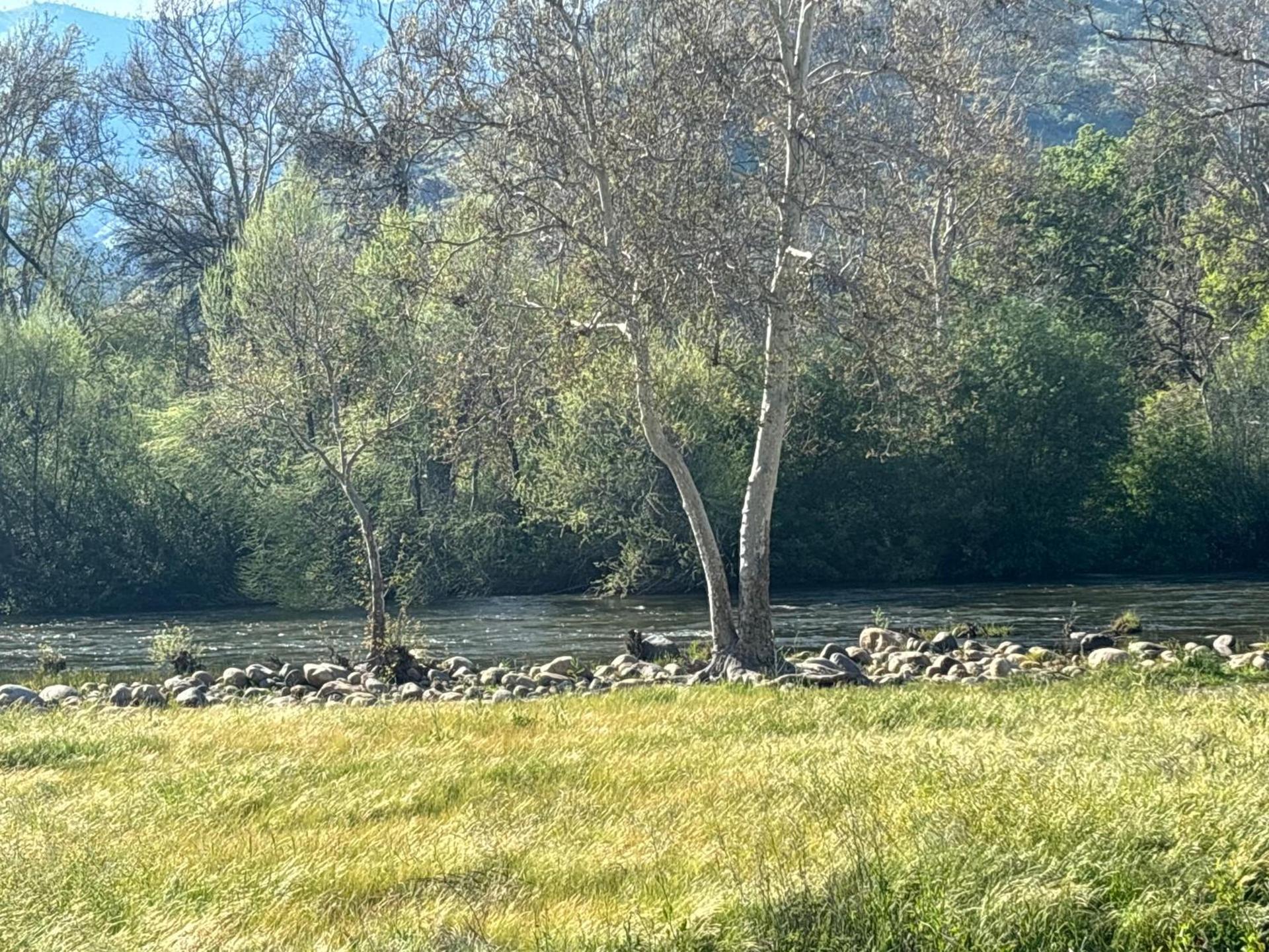 Sequoia River Front Cabins photo 85