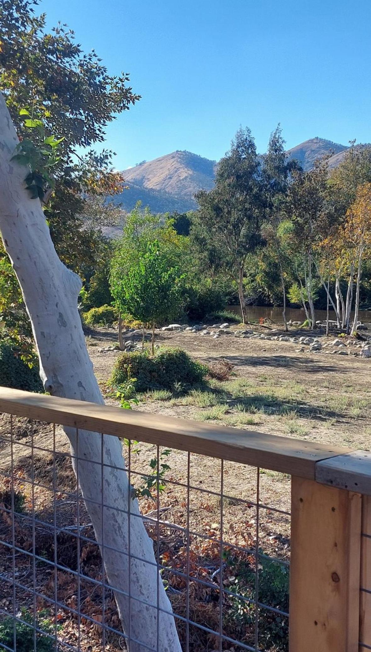 Sequoia River Front Cabins photo 76