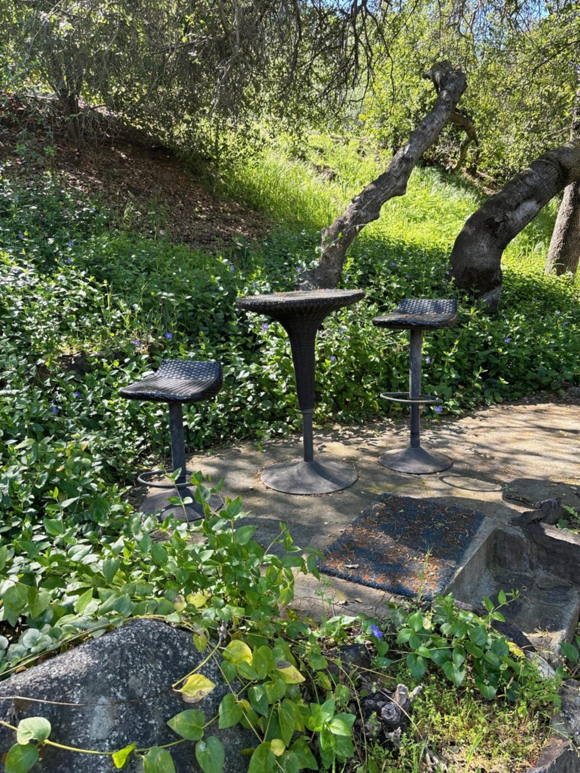 Sequoia River Front Cabins photo 12