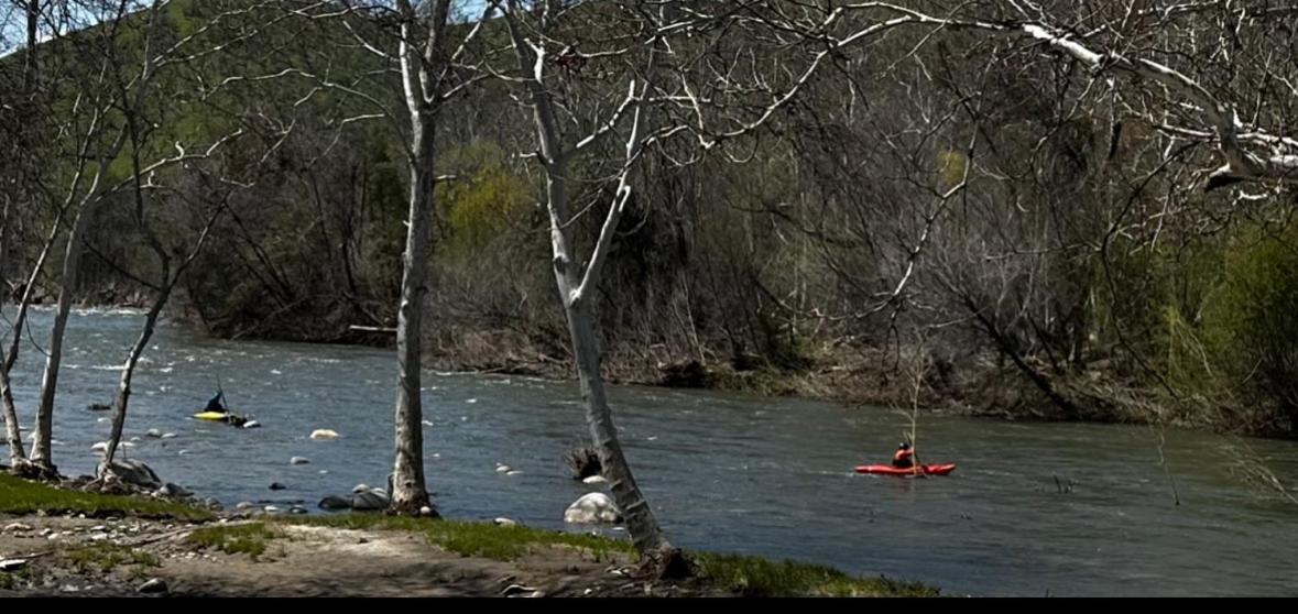 Sequoia River Front Cabins photo 55
