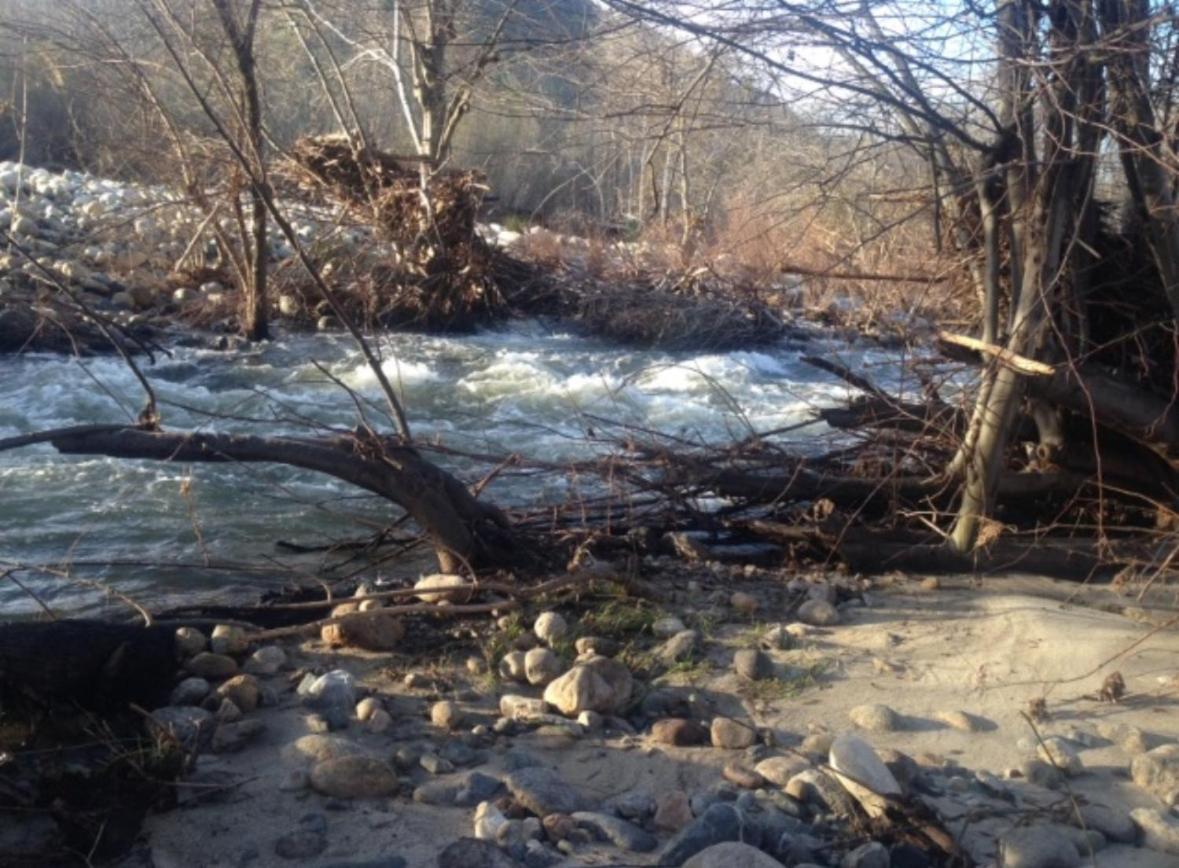 Sequoia River Front Cabins photo 50