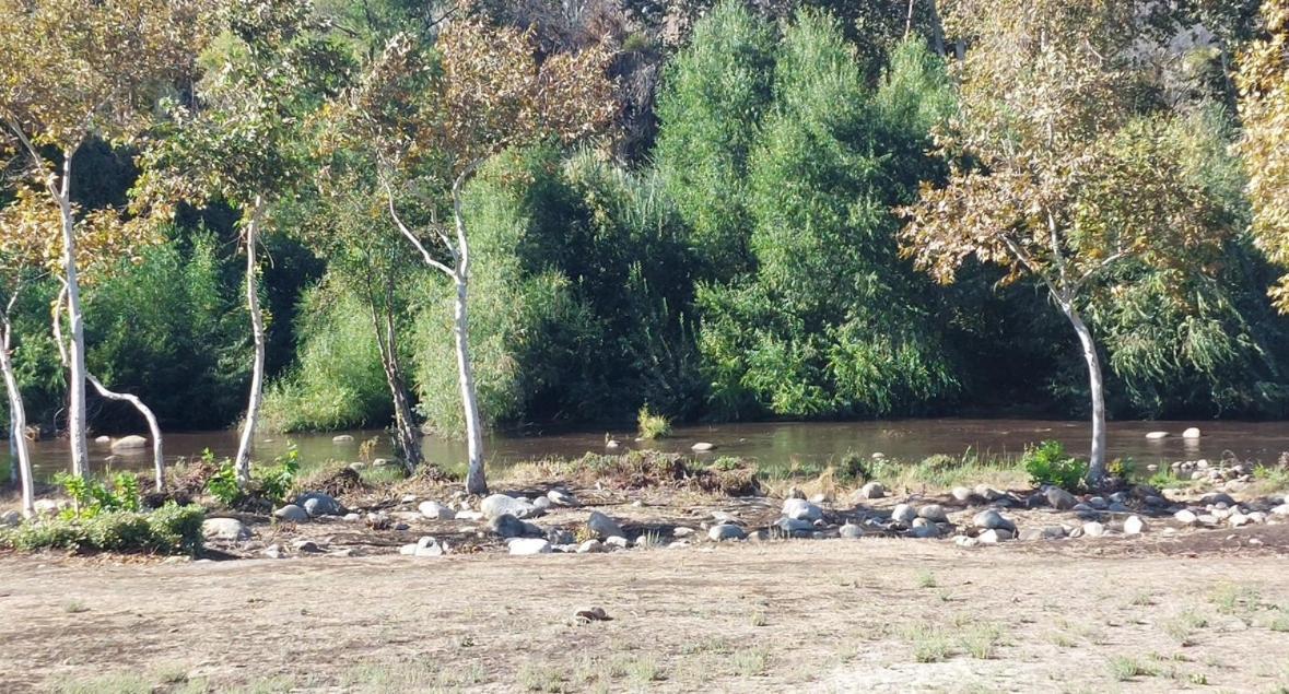 Sequoia River Front Cabins photo 37