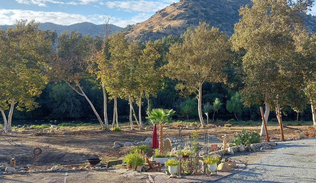 Sequoia River Front Cabins photo 35