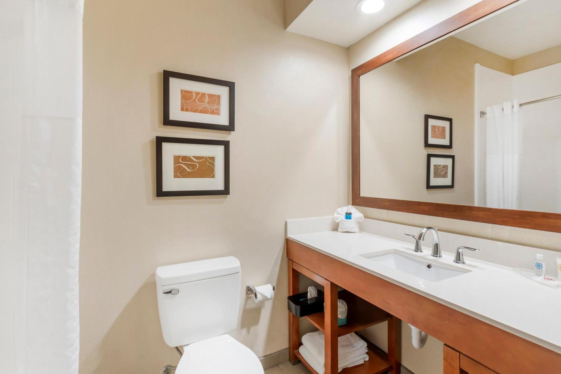 Comfort Inn Summerville - Charleston photo 50