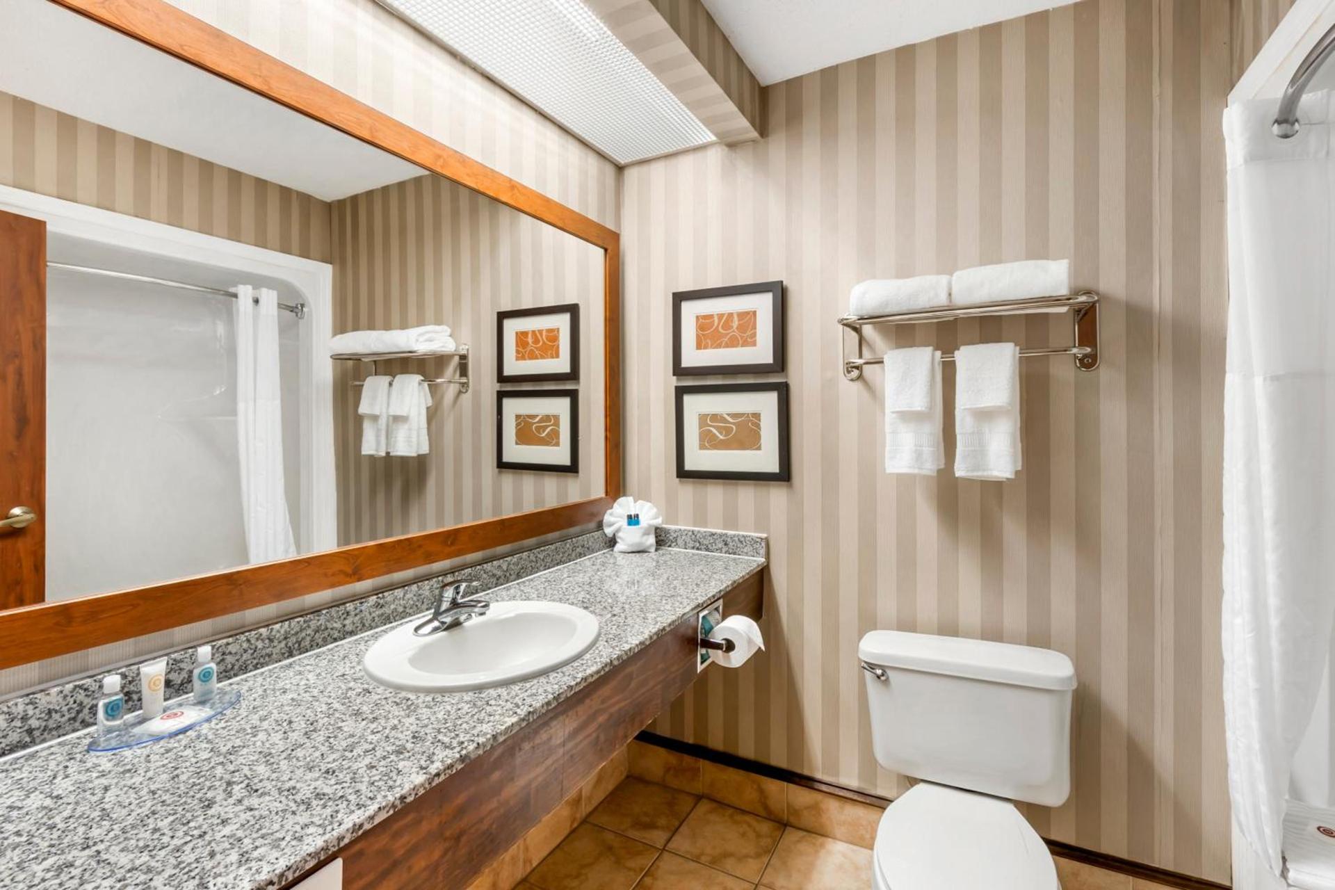 Comfort Inn Summerville - Charleston photo 65