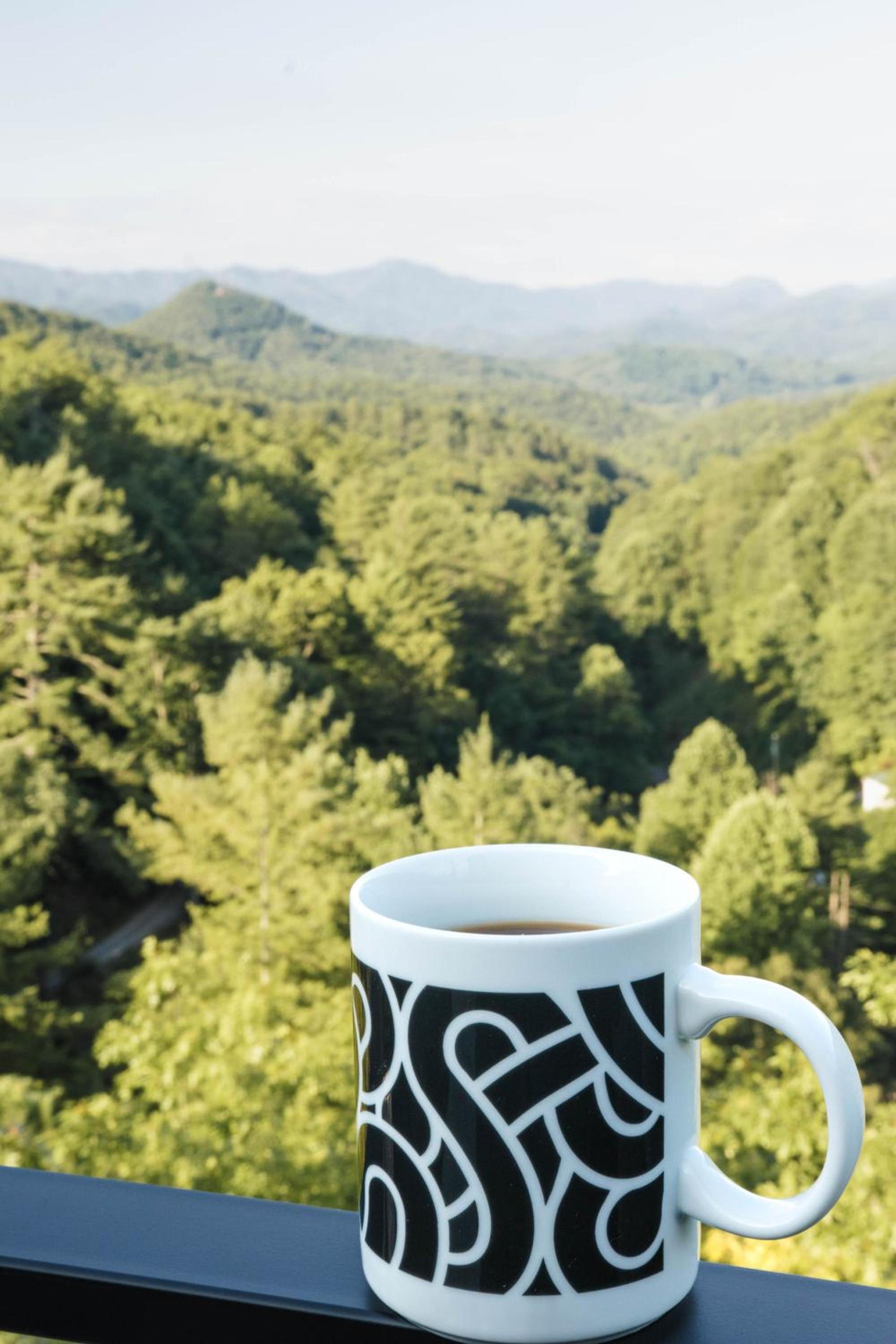 Long View Resort Bryson City, NC photo 6