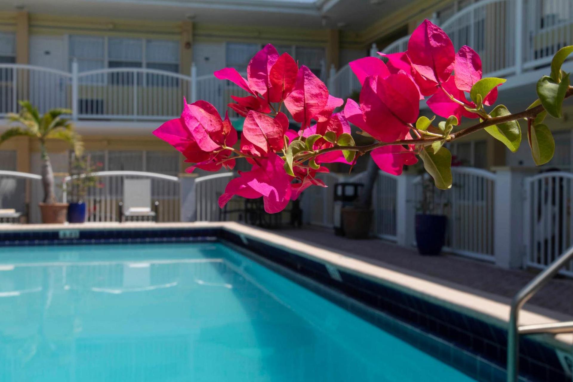 Beach Place Hotel photo 3
