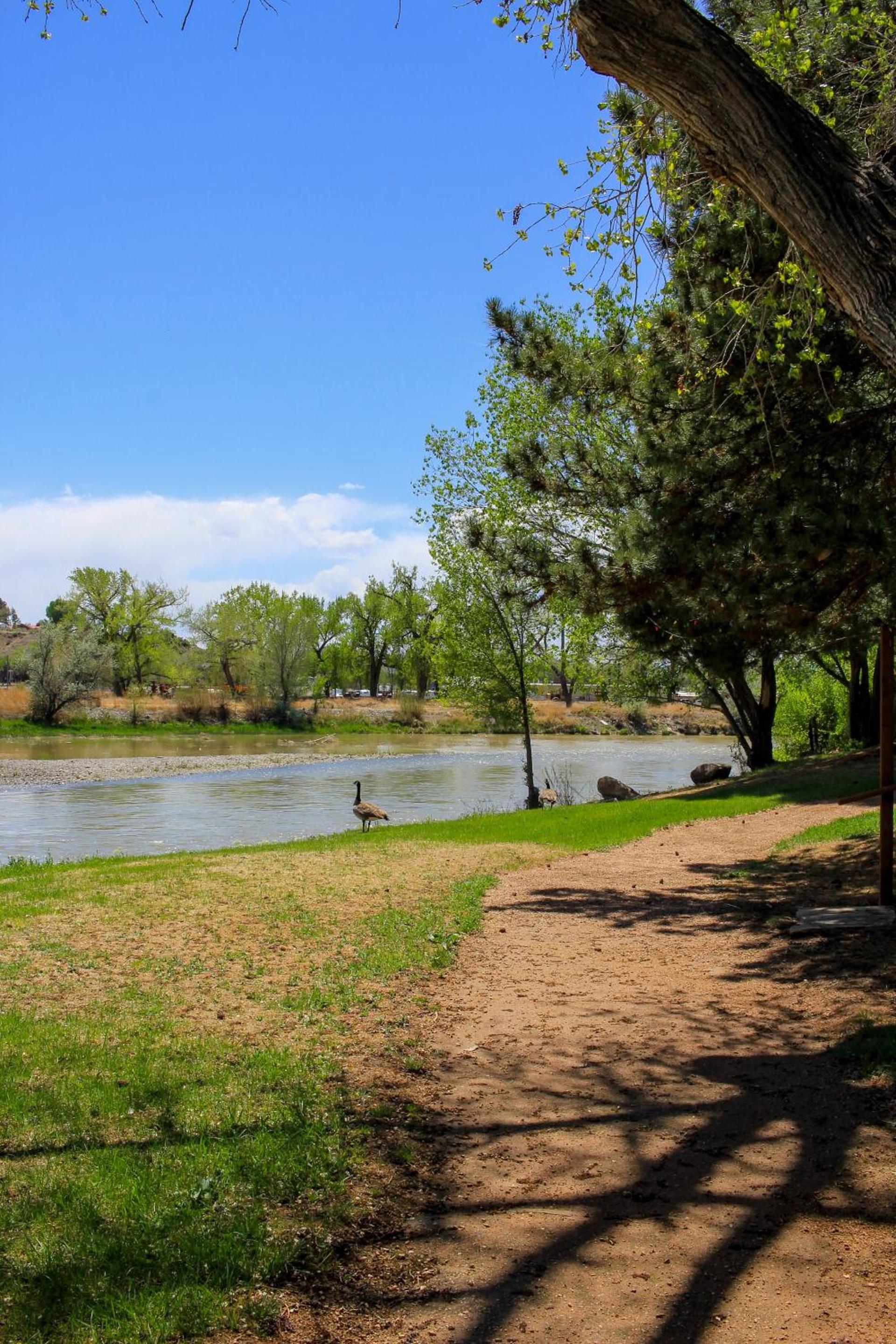 Riverwood Resort on the Gunnison photo 25