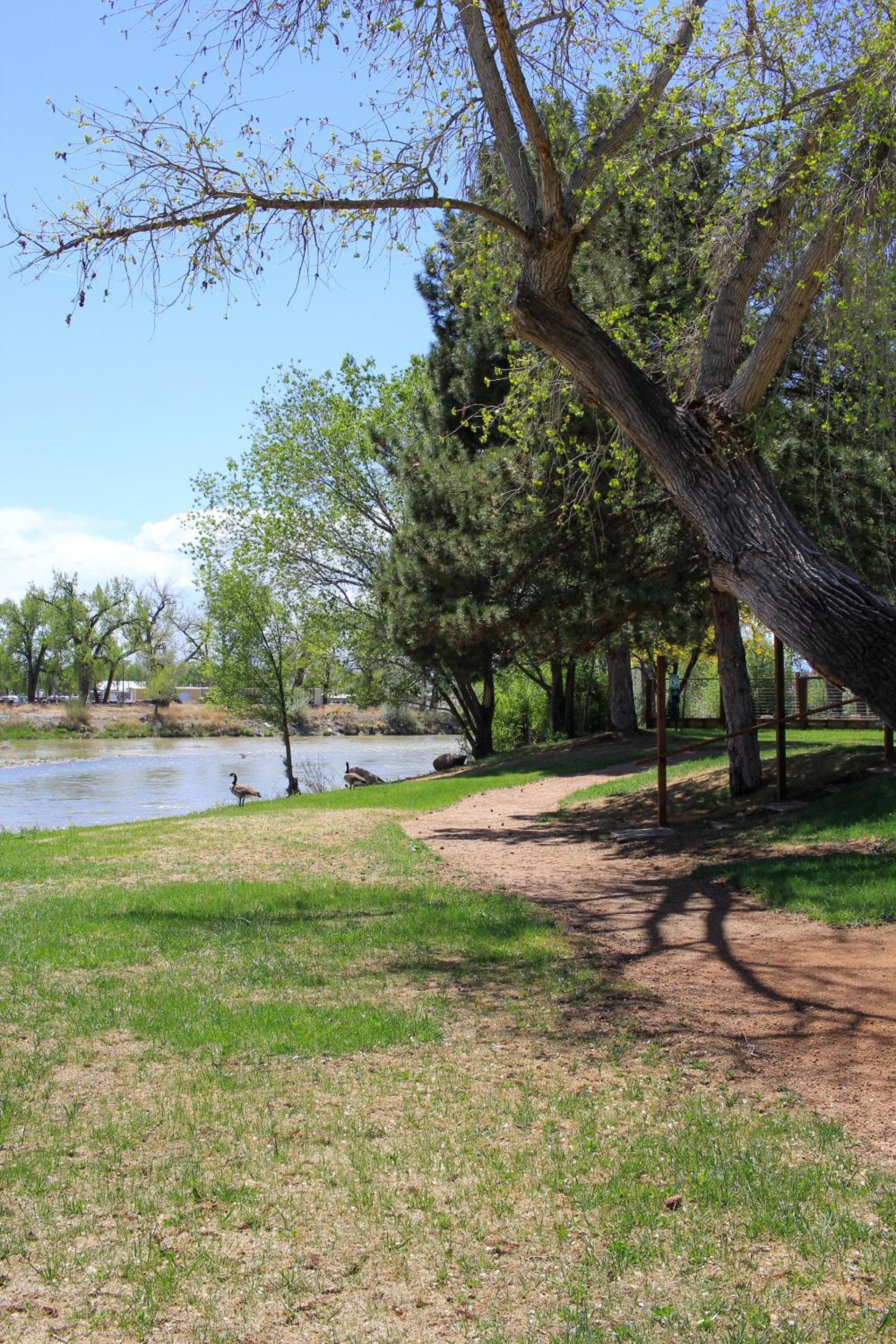 Riverwood Resort on the Gunnison photo 33