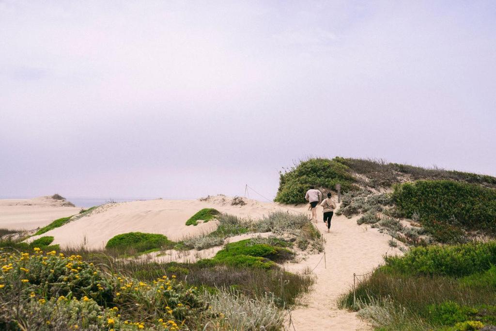Costanoa photo 93