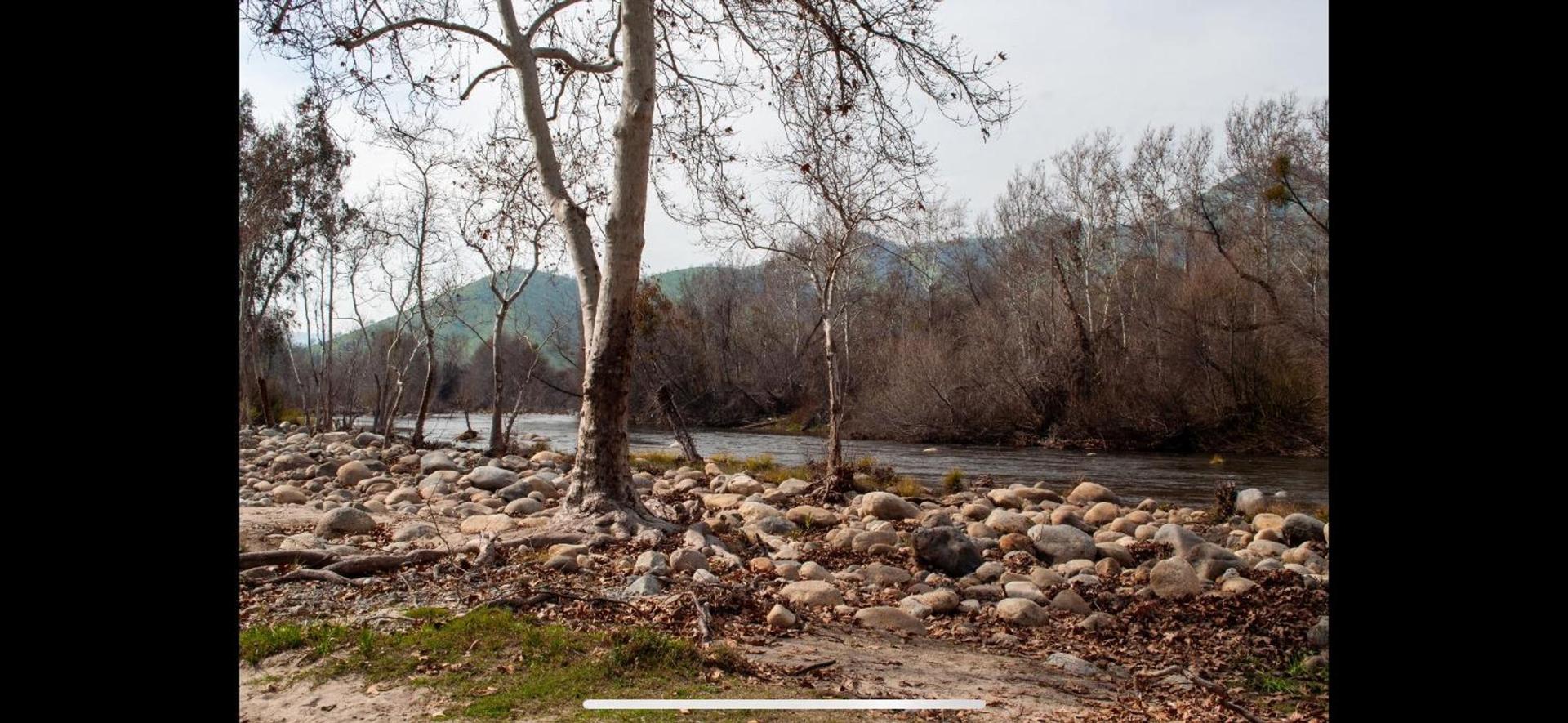 Sequoia River Front Cabins photo 9