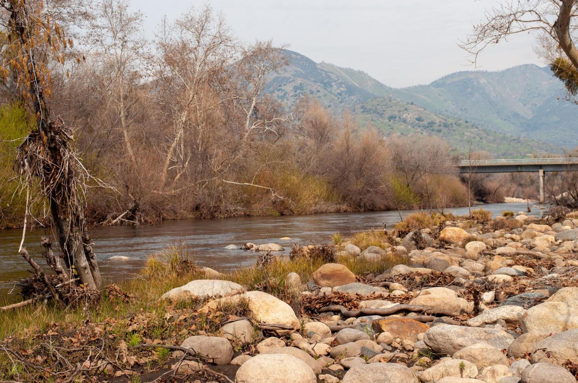 Sequoia River Front Cabins photo 10