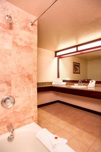 Carson Valley Inn photo 25