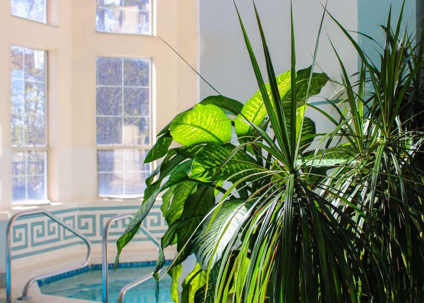 Senator Inn & Spa photo 70