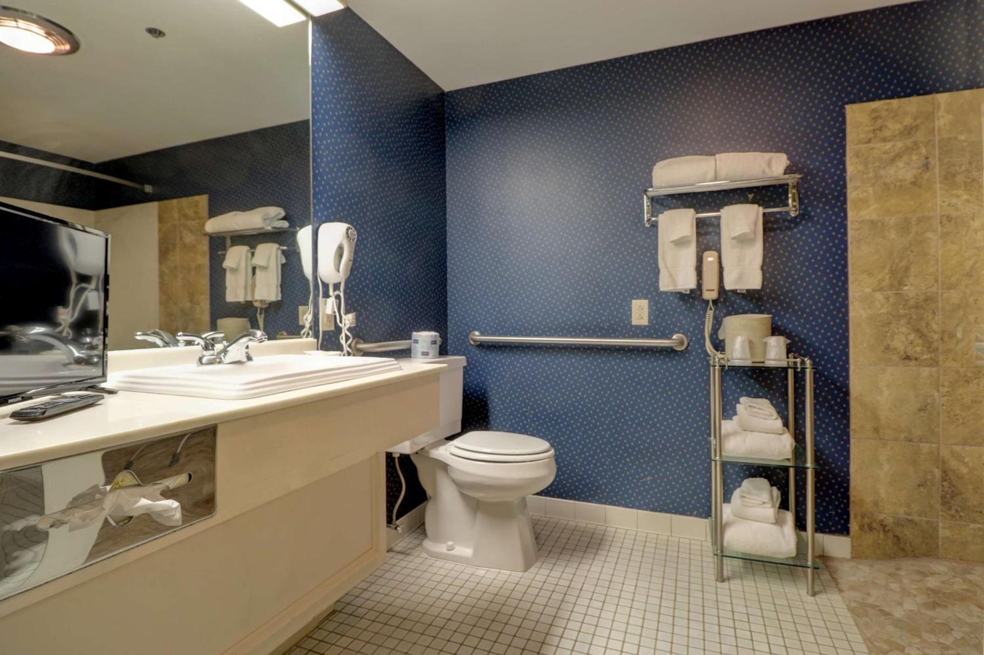 Senator Inn & Spa photo 31