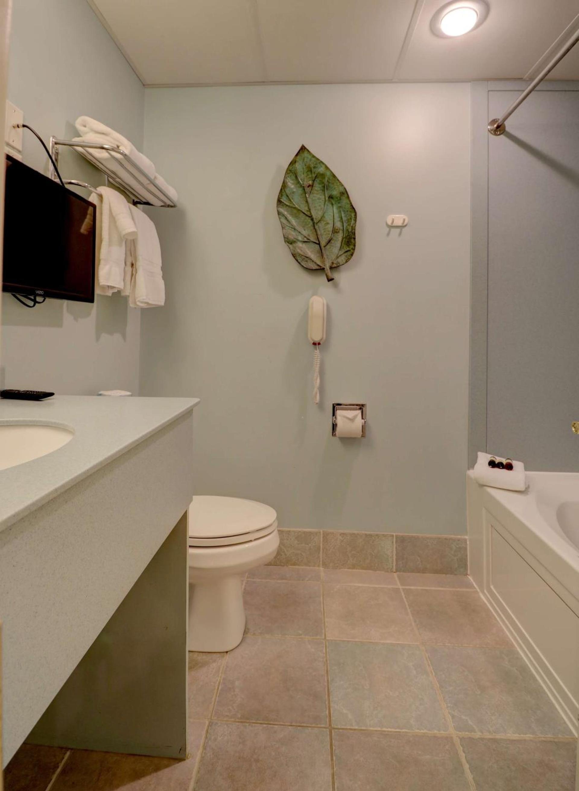 Senator Inn & Spa photo 69
