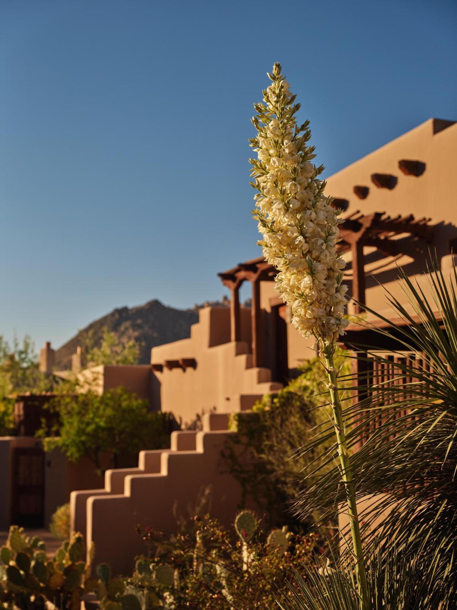 Four Seasons Resort Scottsdale at Troon North photo 6