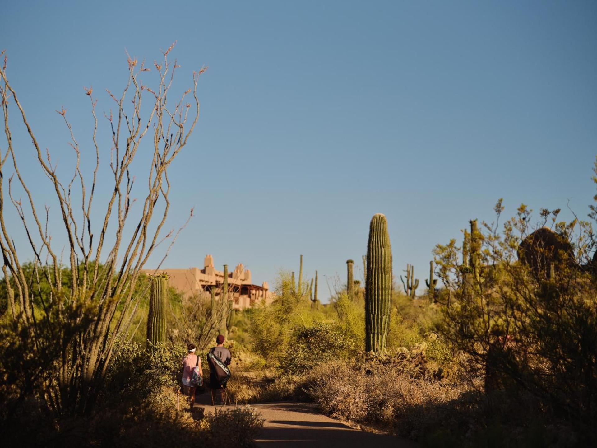 Four Seasons Resort Scottsdale at Troon North photo 19