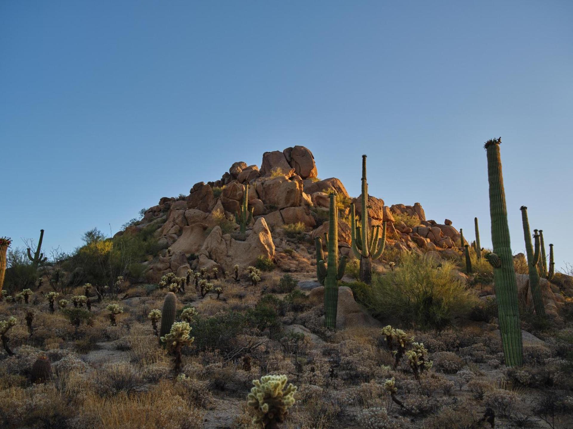 Four Seasons Resort Scottsdale at Troon North photo 24