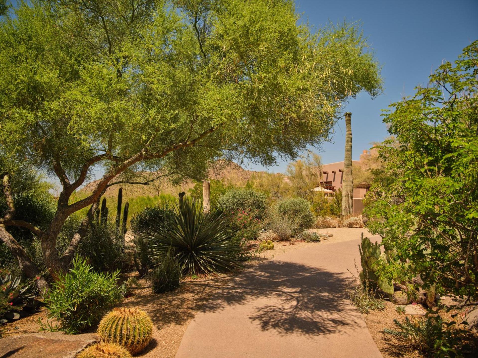 Four Seasons Resort Scottsdale at Troon North photo 28