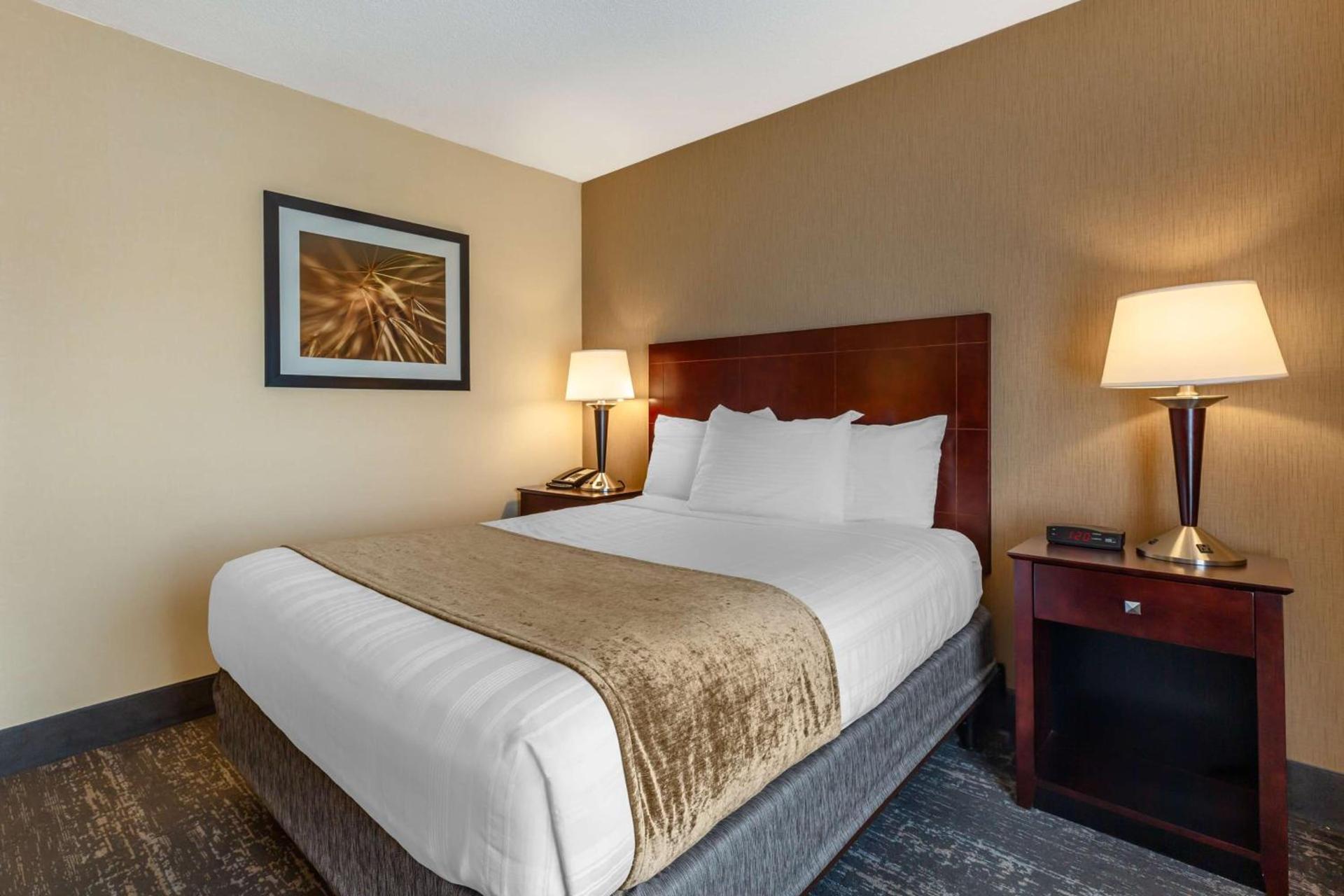 Best Western Braintree Inn photo 36