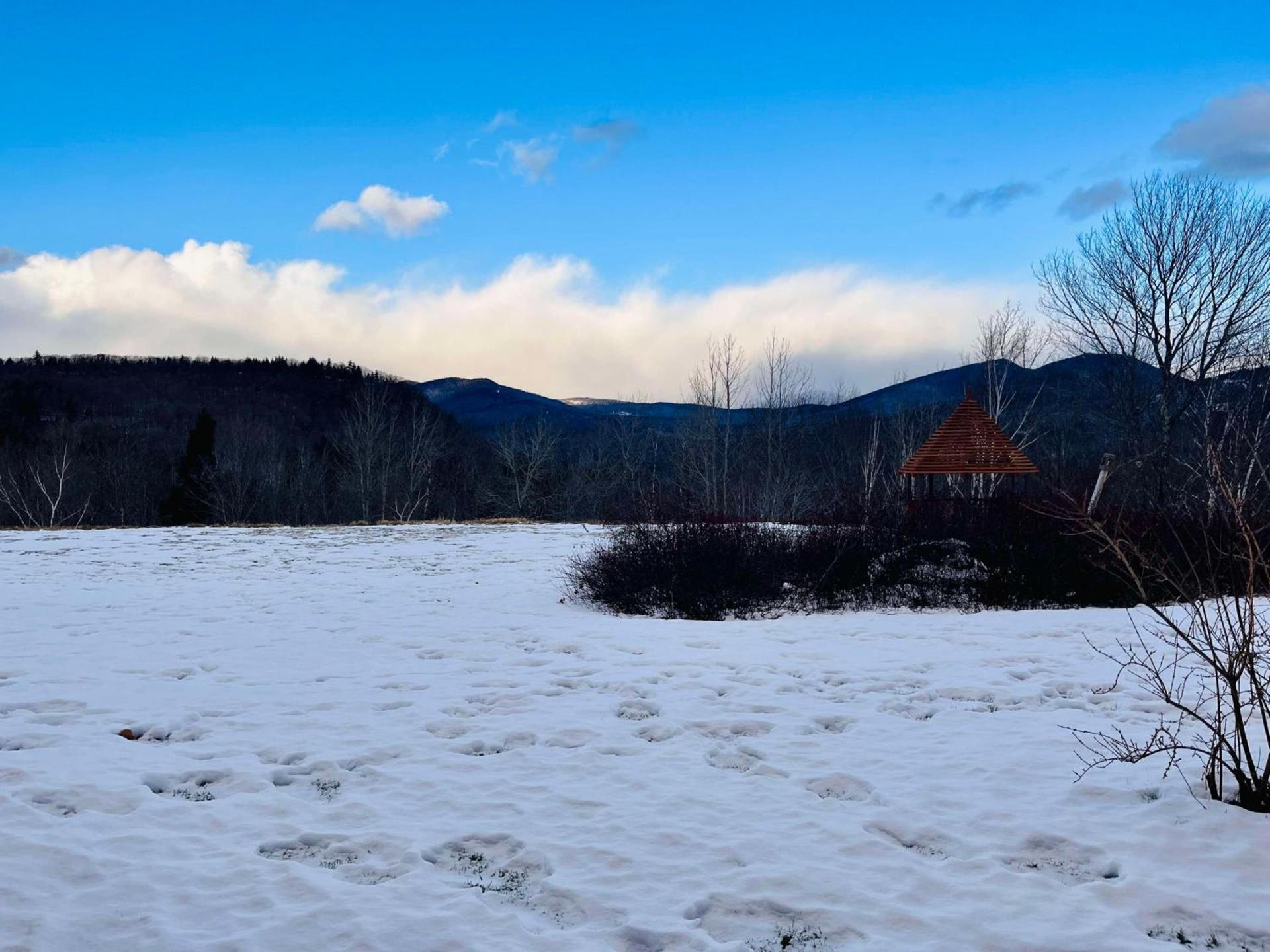 Nordic Village Condominium Resort photo 72