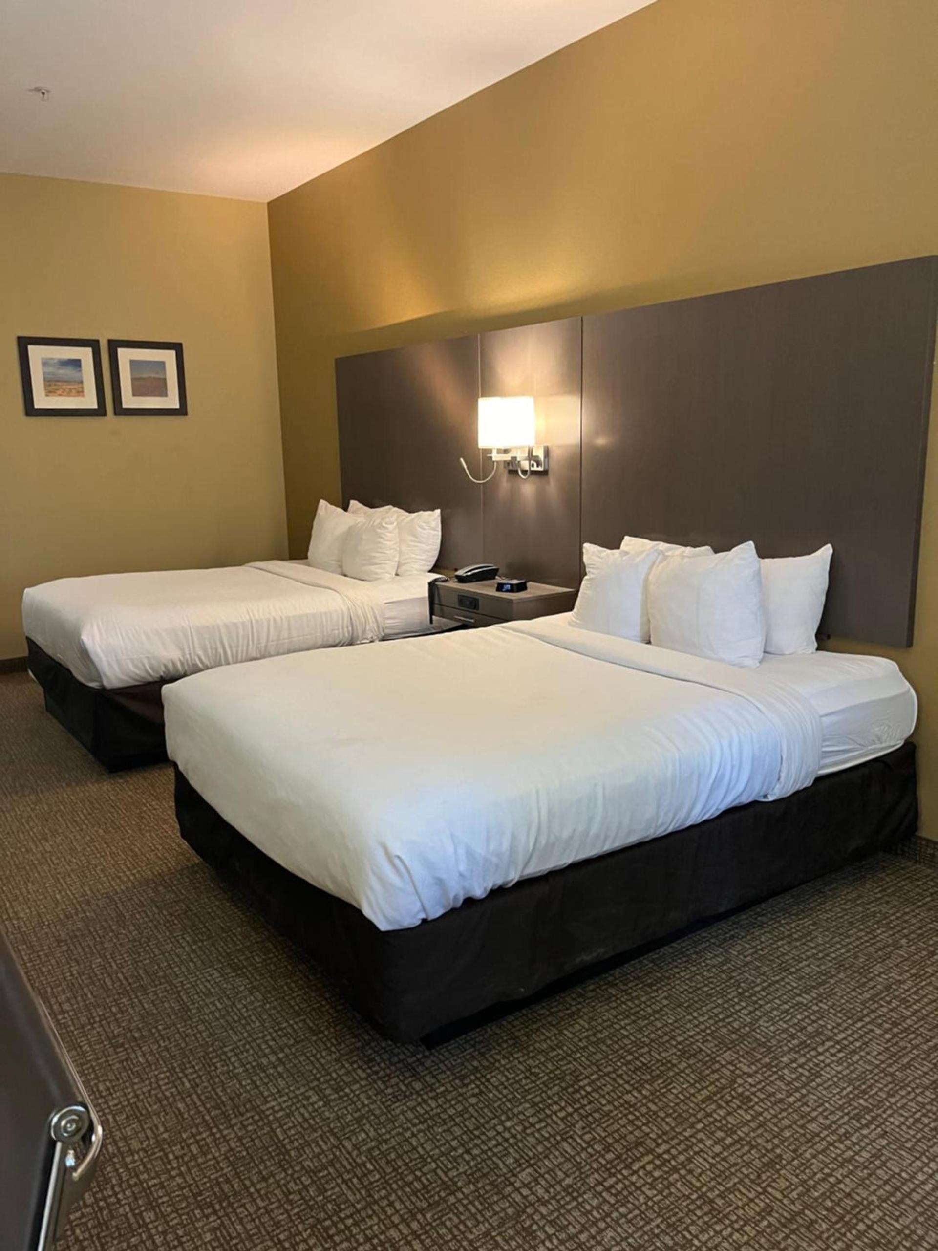 Comfort Inn & Suites Monahans I-20 photo 33