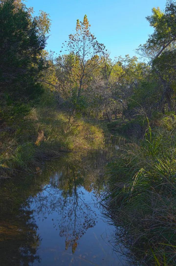 Onera Fredericksburg photo 16