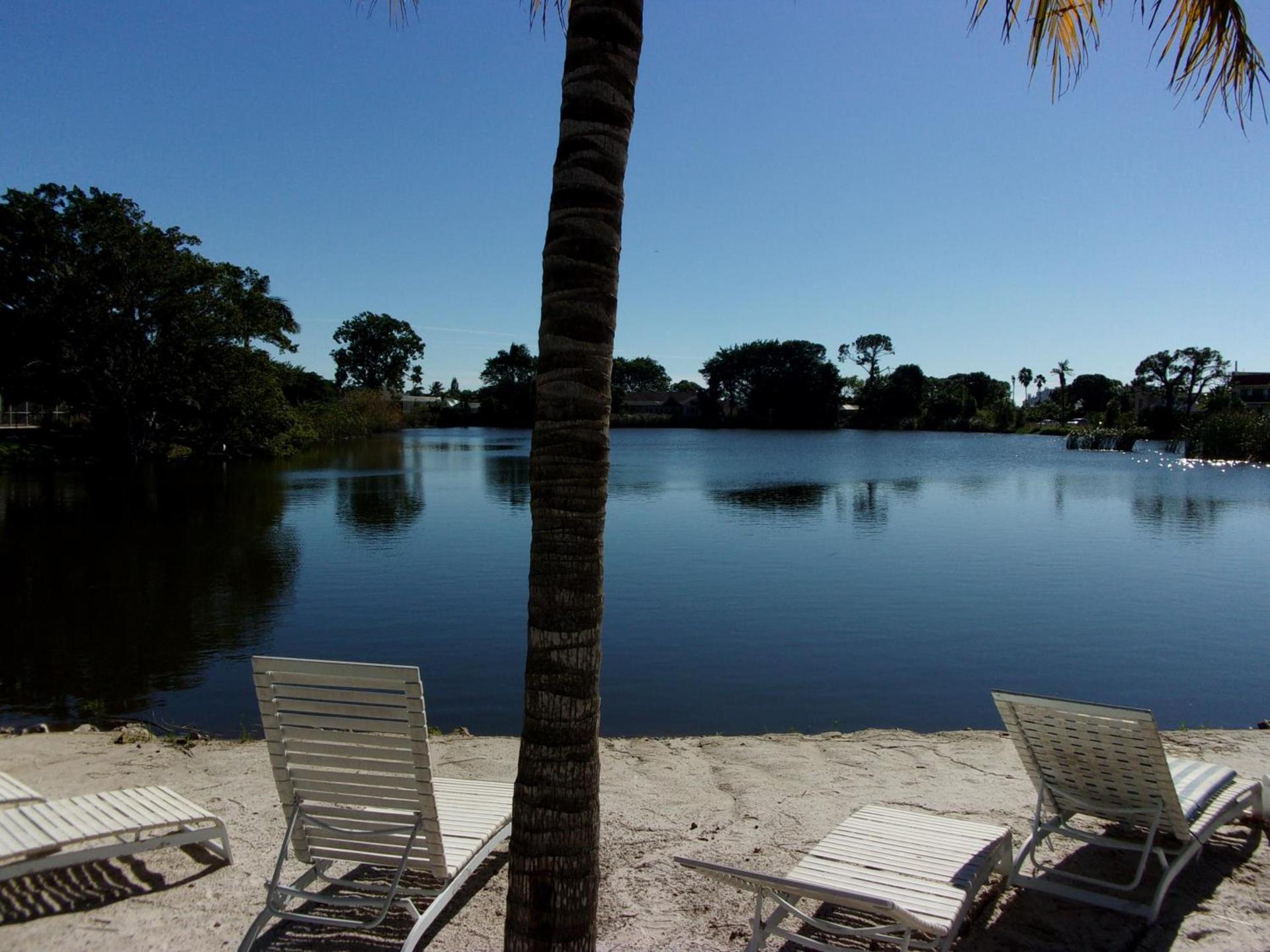 Marco Island Lakeside Inn photo 26