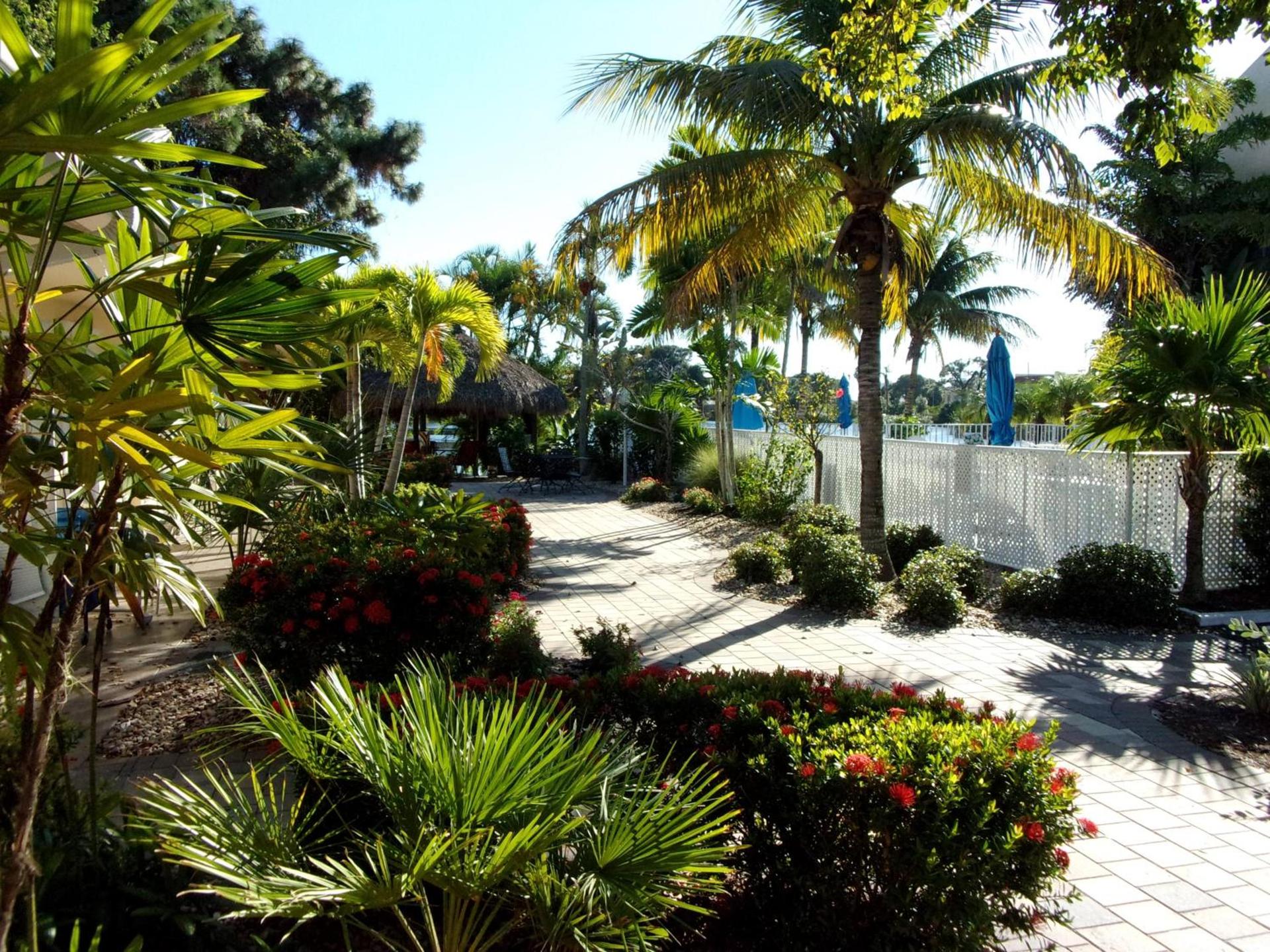 Marco Island Lakeside Inn photo 7