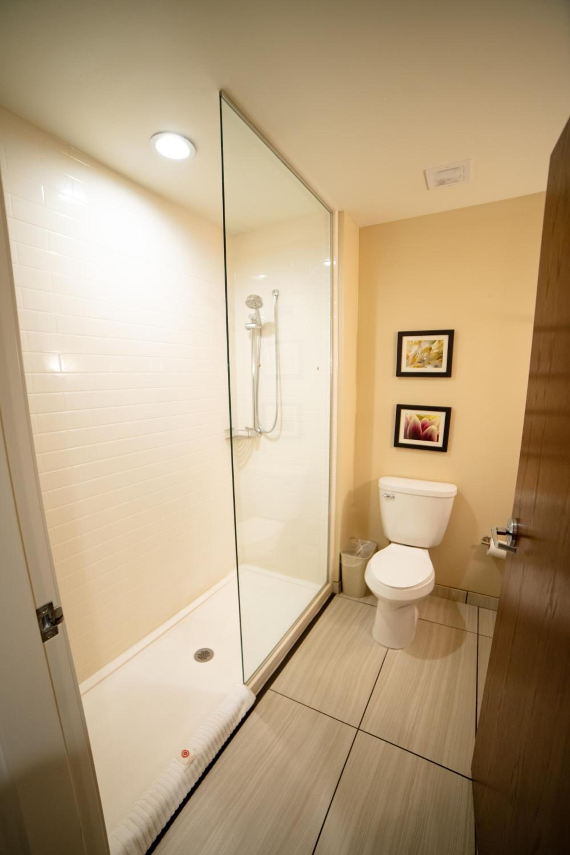 Comfort Suites University Brookings photo 69