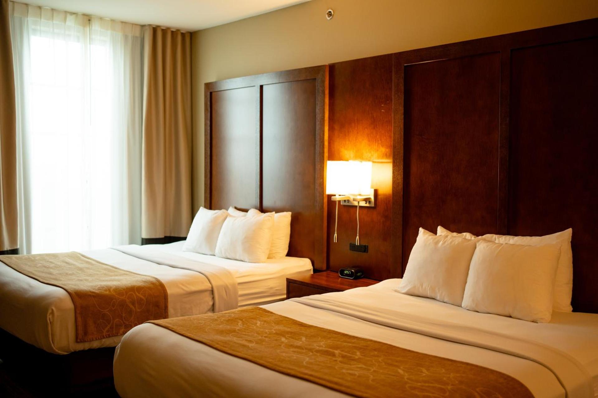 Comfort Suites University Brookings photo 52