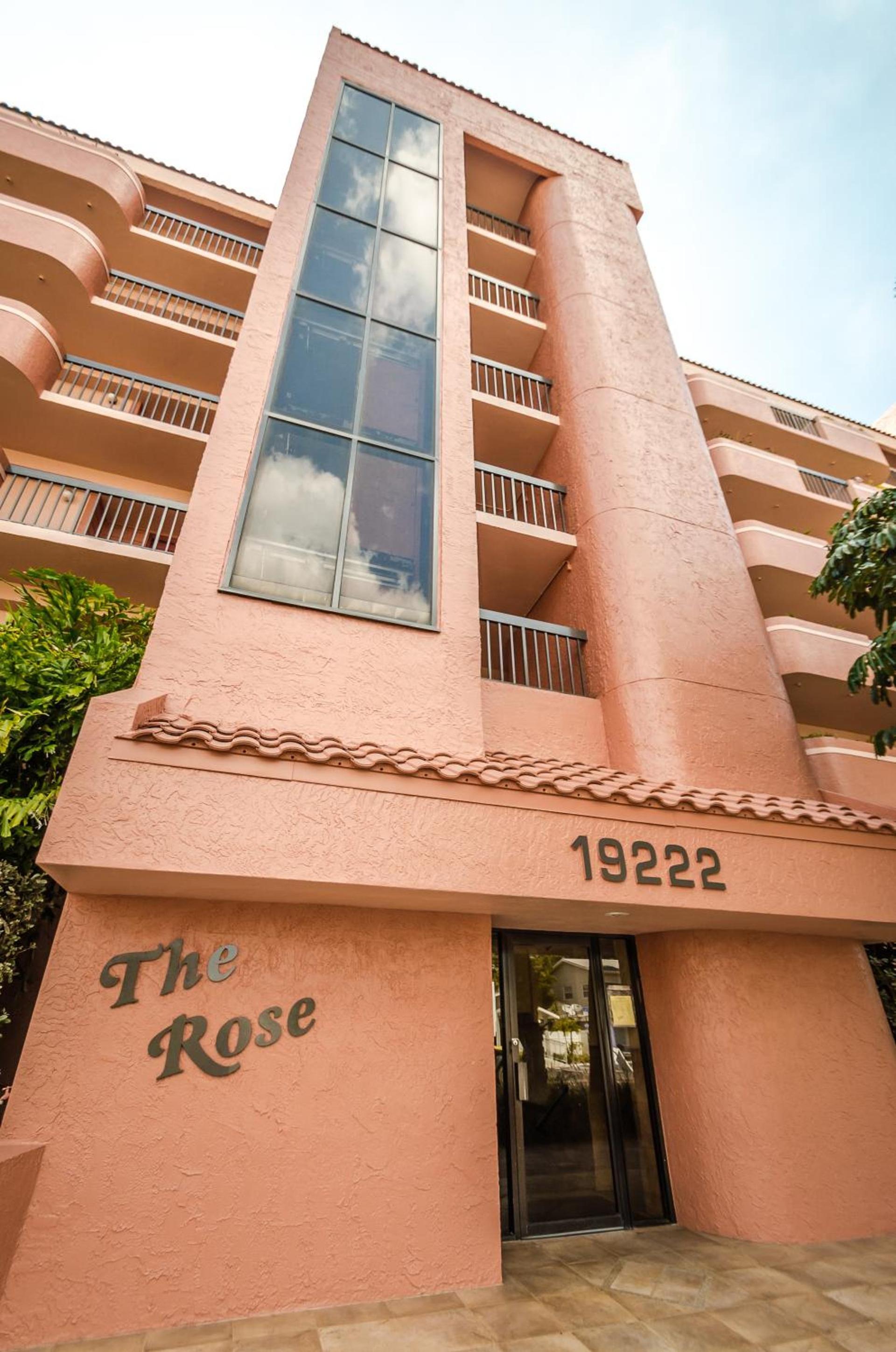 The Rose photo 12