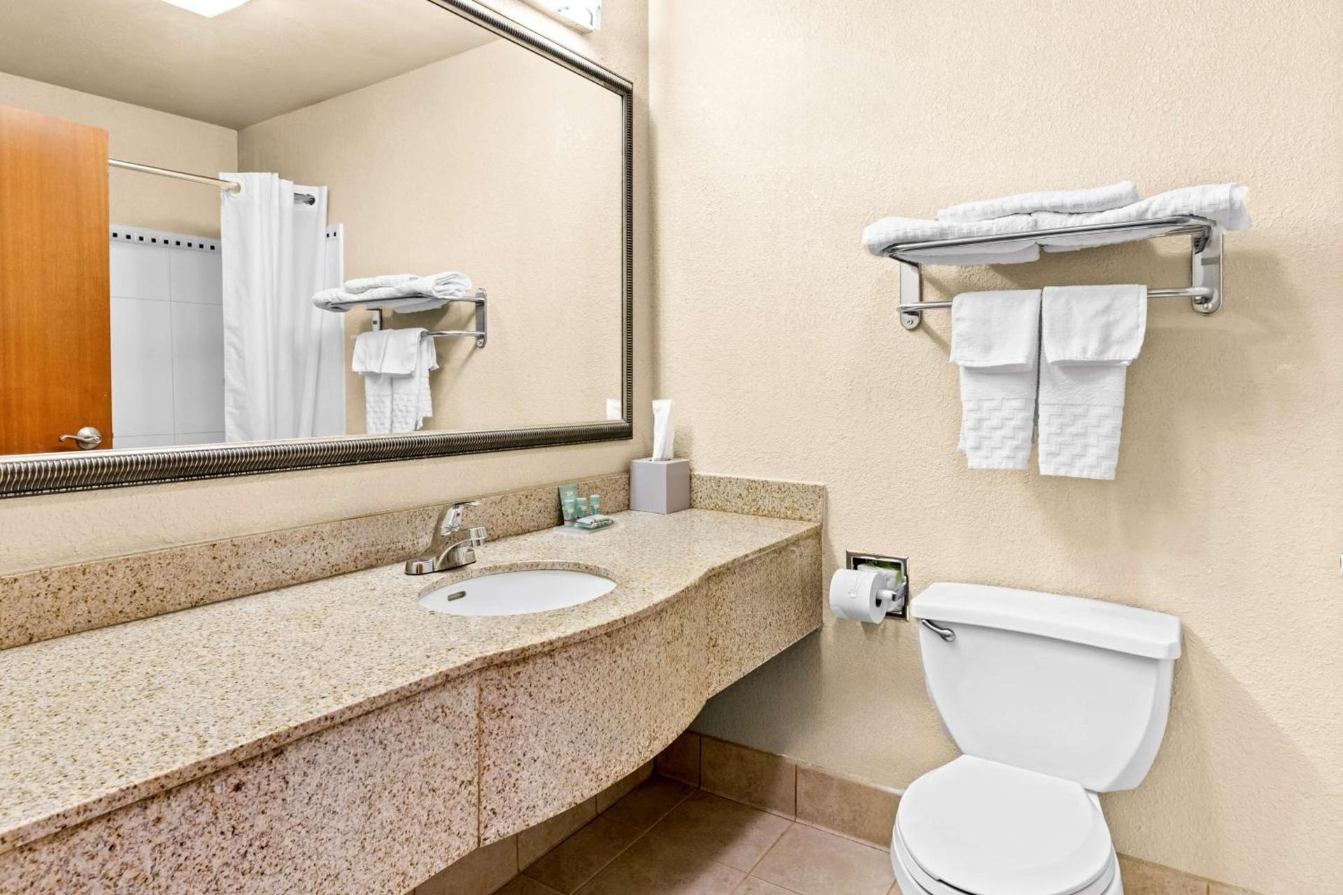 Best Western Gwinnett Center photo 27