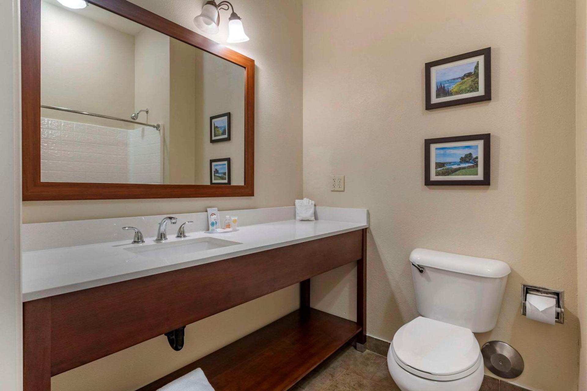 Comfort Inn & Suites Ukiah Mendocino County photo 10