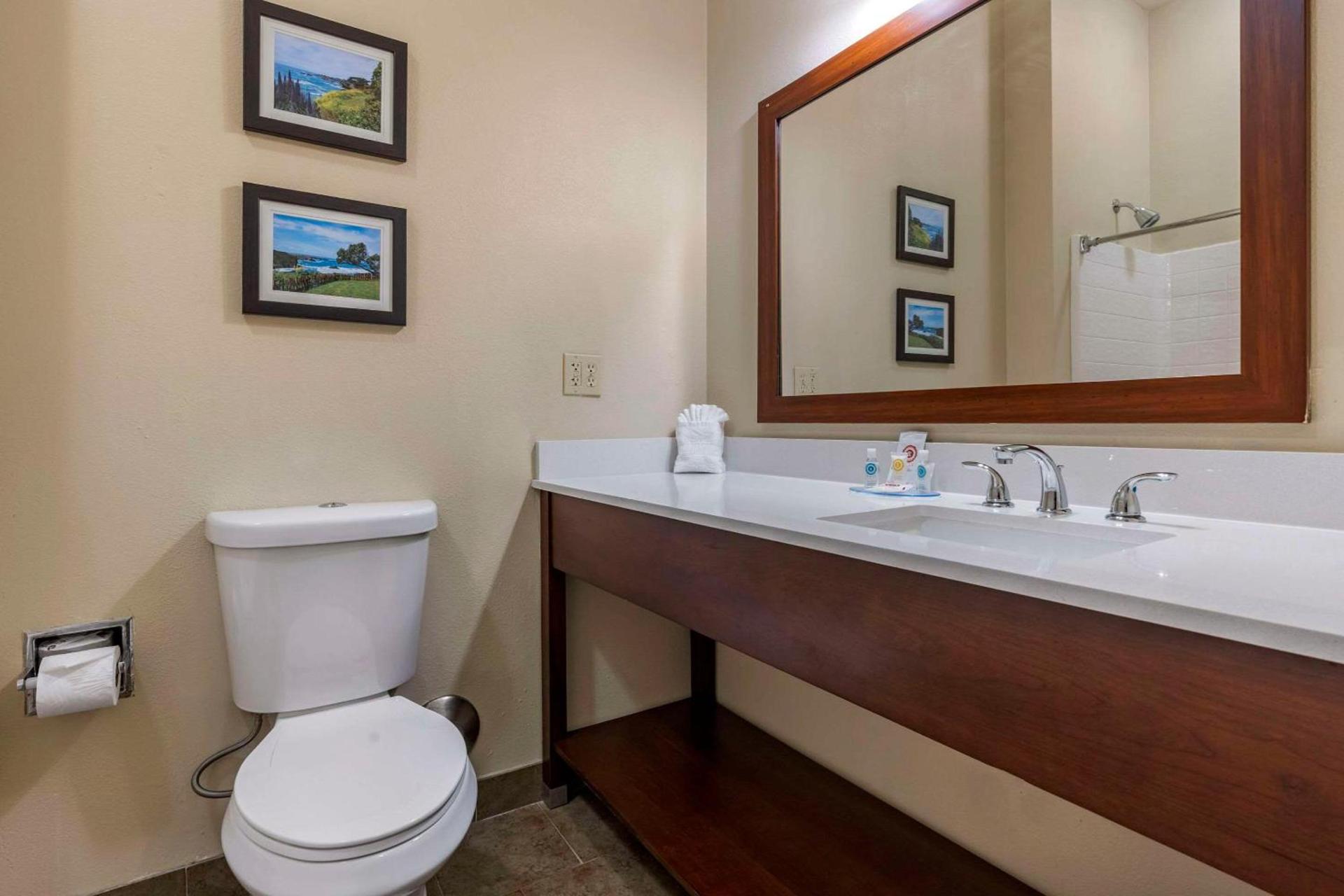 Comfort Inn & Suites Ukiah Mendocino County photo 26
