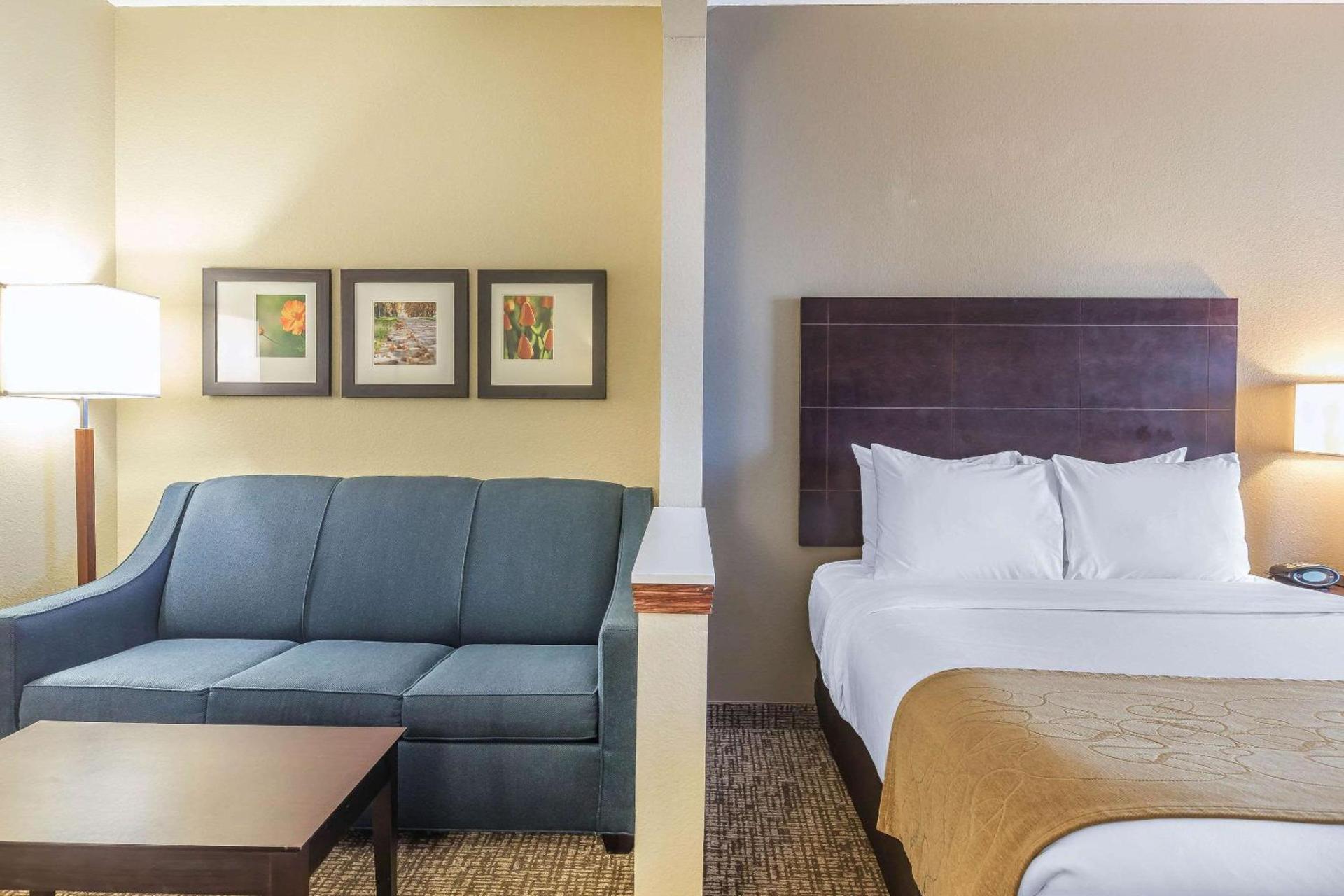 Comfort Suites Fort Wayne North photo 14
