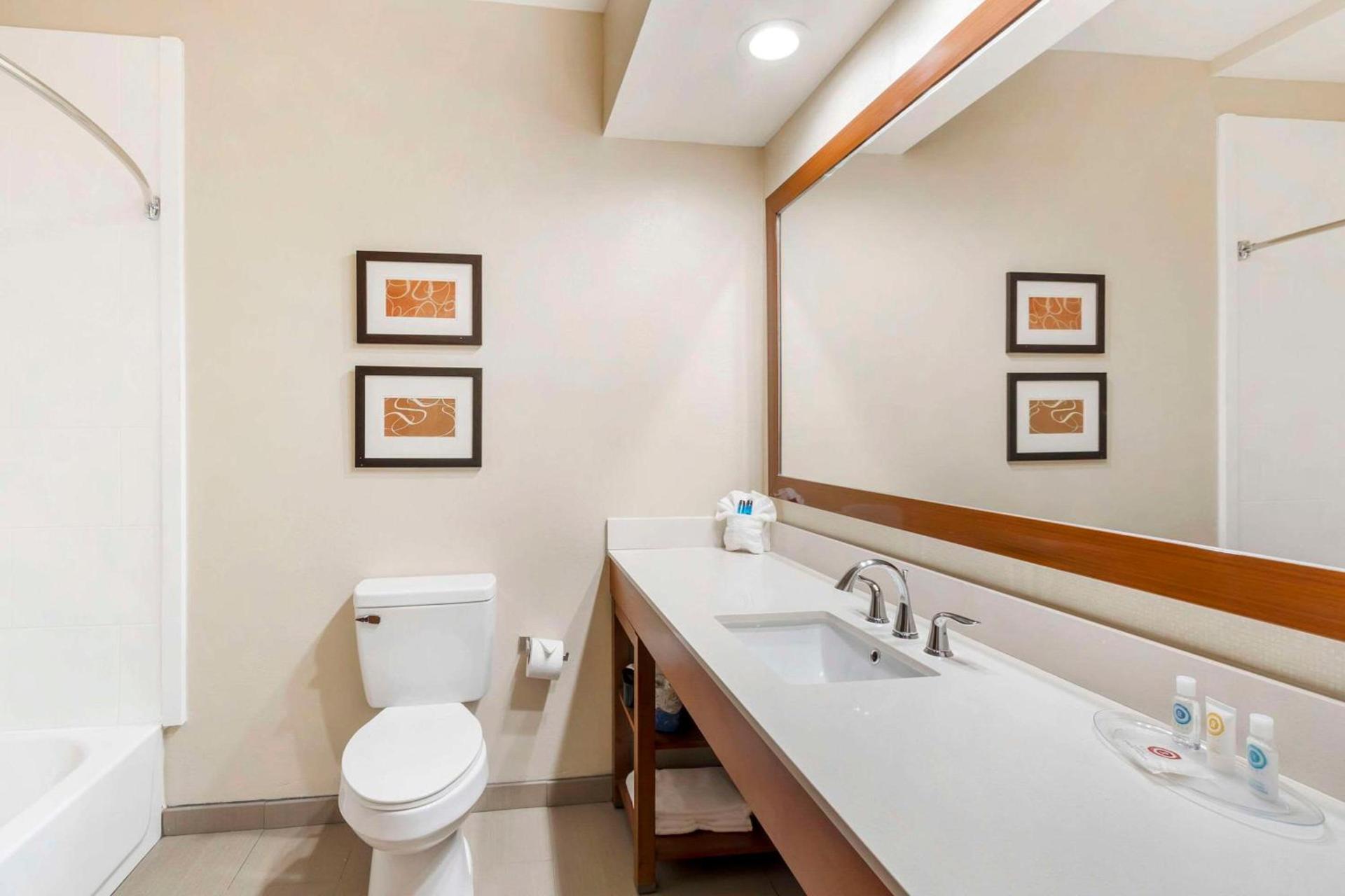 Comfort Inn Summerville - Charleston photo 12